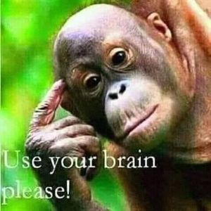 Meet your Posher, Dennis